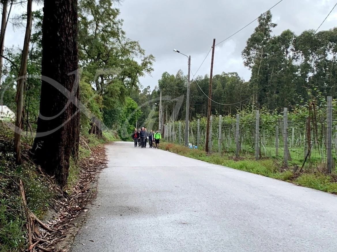 g_9fiUd018svc1abp3be2gobzl_wocx9r.jpg?type=e1920_std