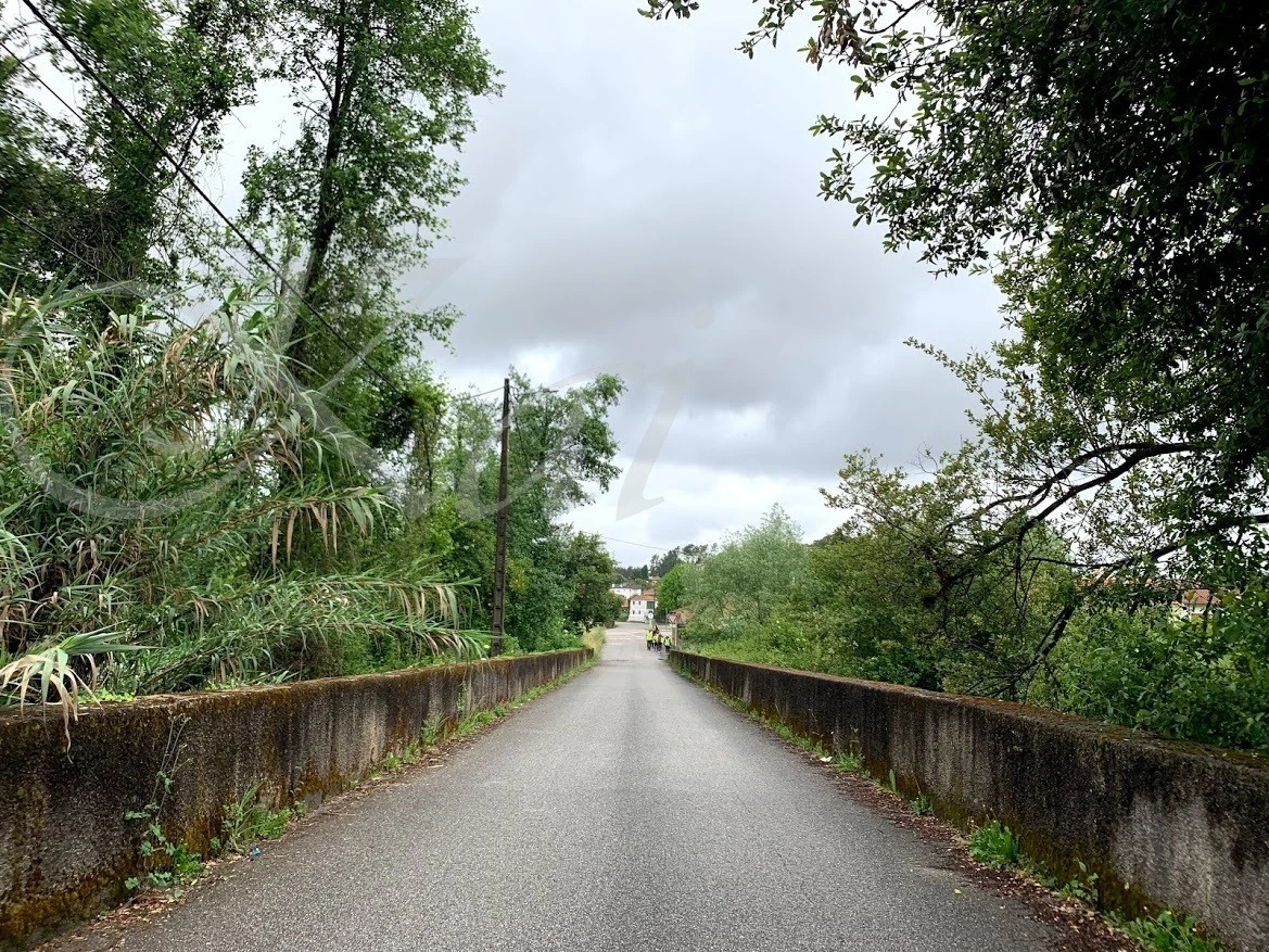 f_hfiUd018svc6viwguz2l9xp_wocx9r.jpg?type=e1920_std