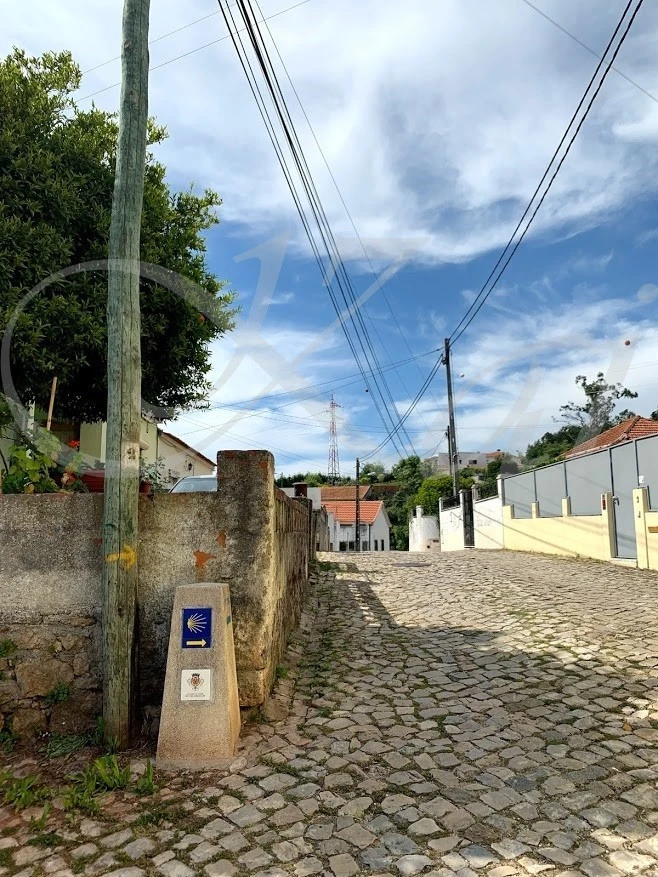 6_a4jUd018svc1mr6gxpc8f2ci_wocx9r.jpg?type=e1920_std