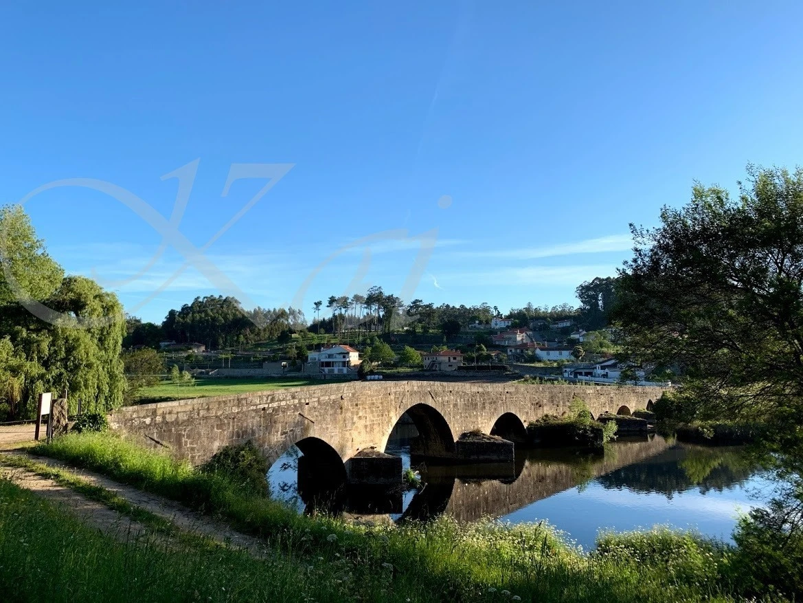 5_d65Ud018svc1izcjnldfivyw_wocx9r.jpg?type=e1920_std