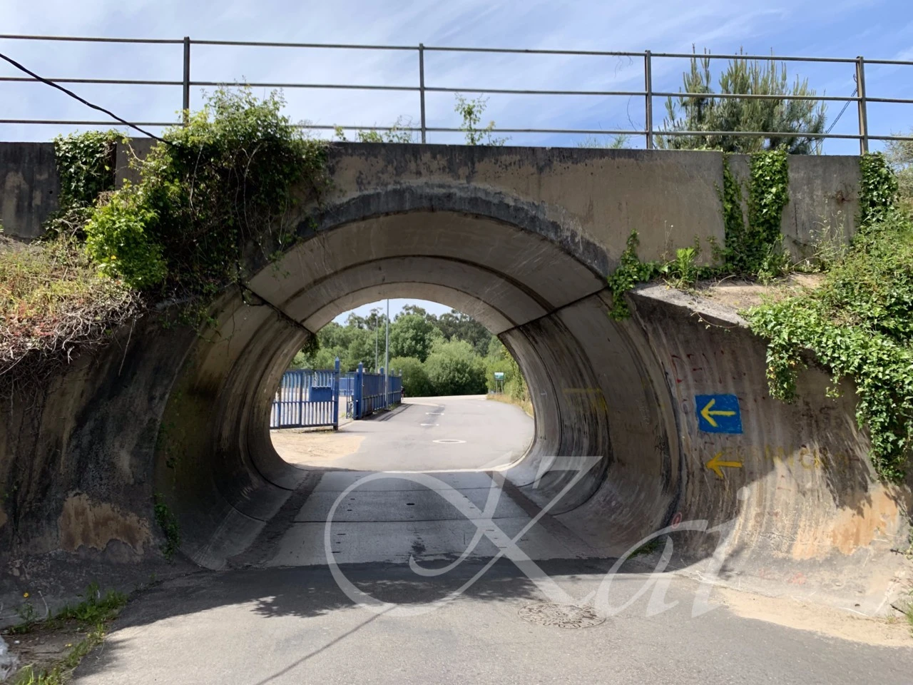 0_99eUd018svcdcvwsa655rfk_wocx9r.png?type=e1920_std