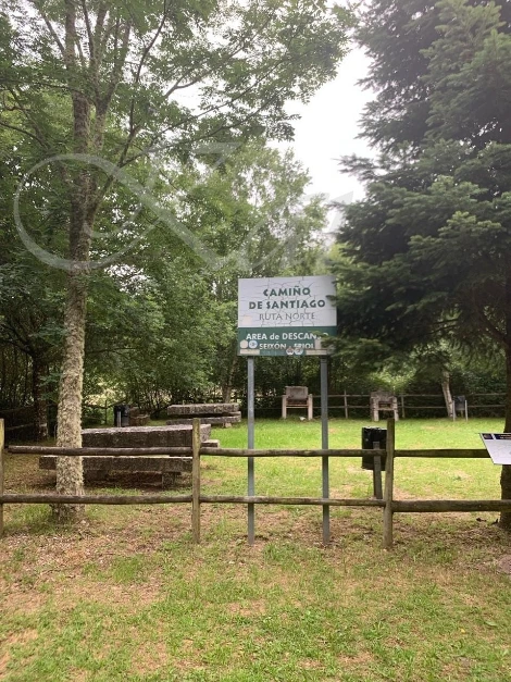 7_g1iUd018svci5jvv2ovkf2b_wocx9r.jpg?type=e1920_std