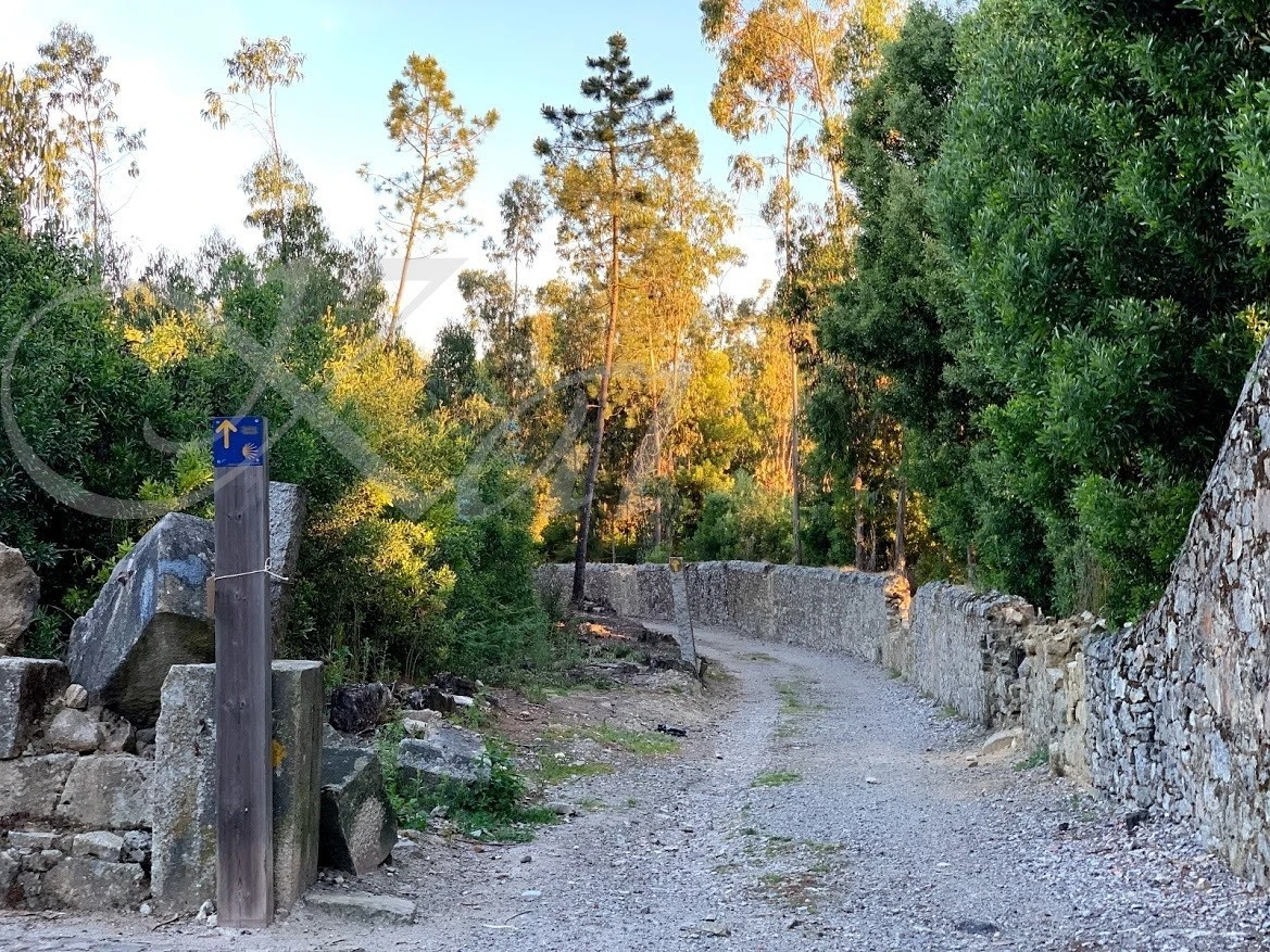 4_765Ud018svc1r8tu62r1humt_wocx9r.jpg?type=e1920_std