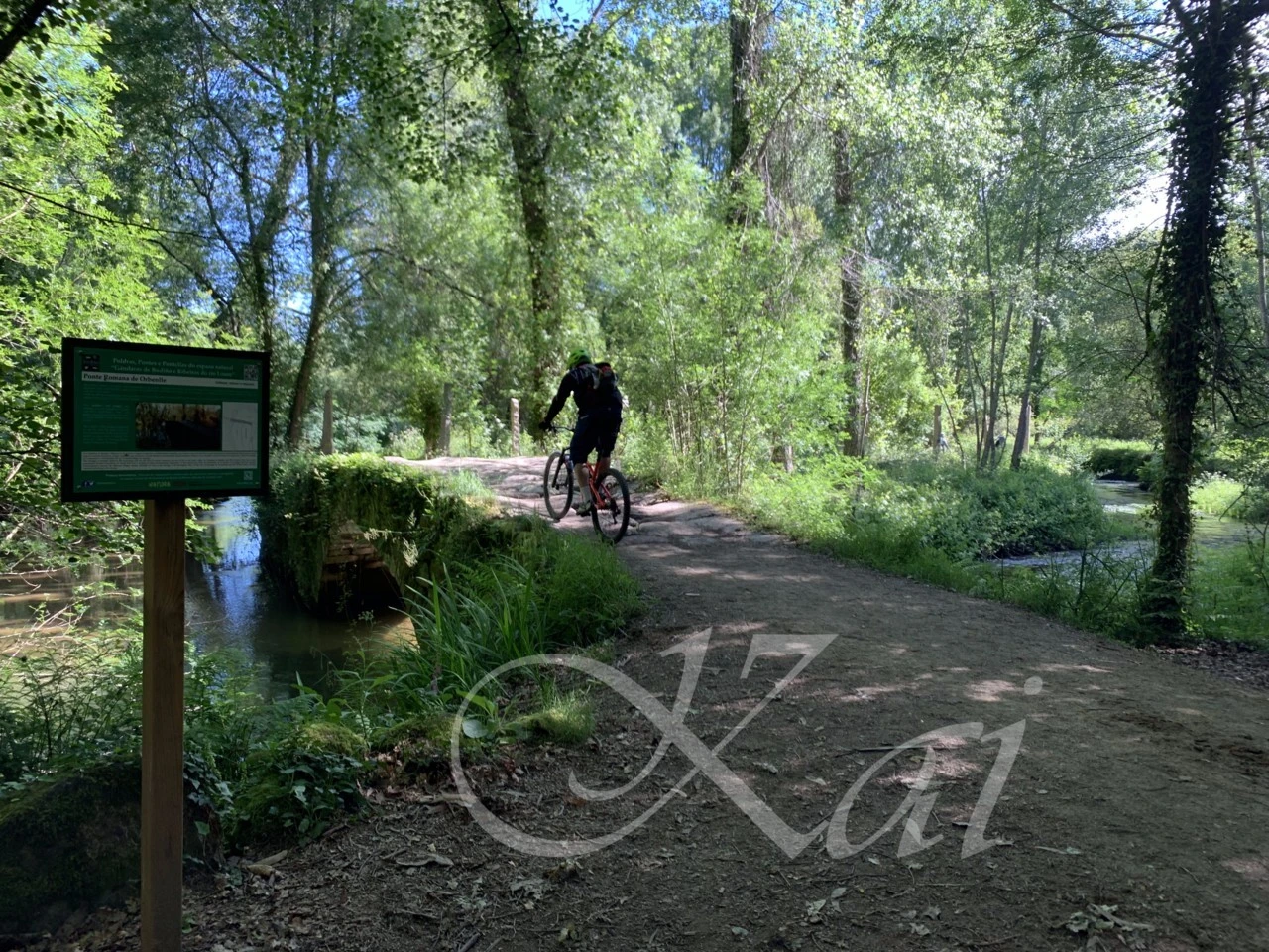 2_89dUd018svc12r2r2qvwzdb0_wocx9r.png?type=e1920_std