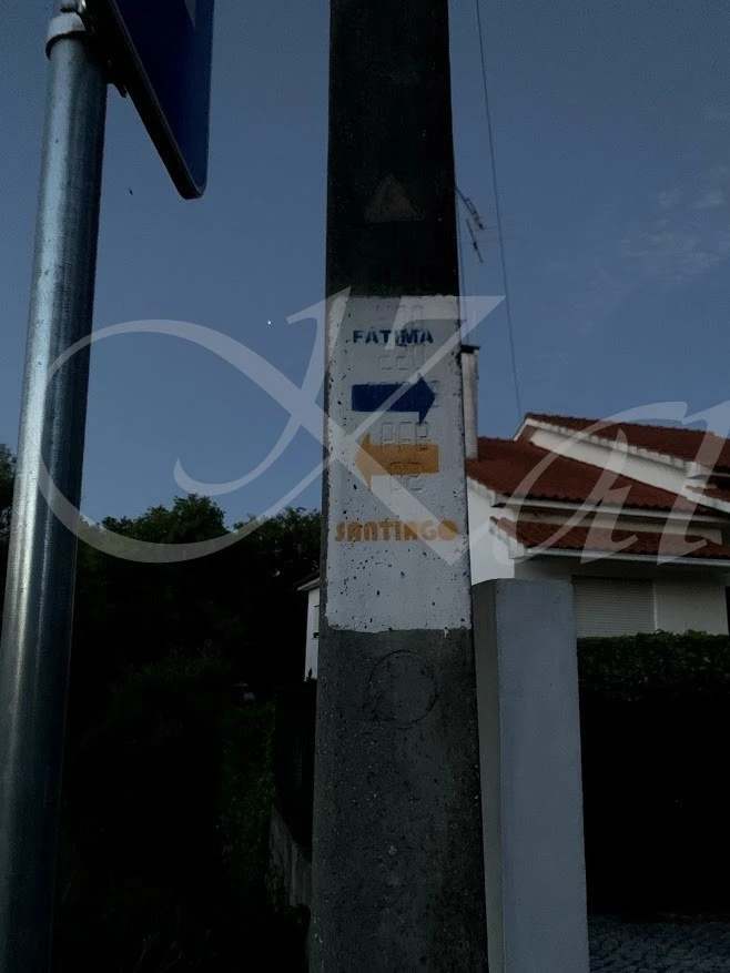 g_1i0Ud018svcd9yrr4hlzypy_wocx9r.jpg?type=e1920_std