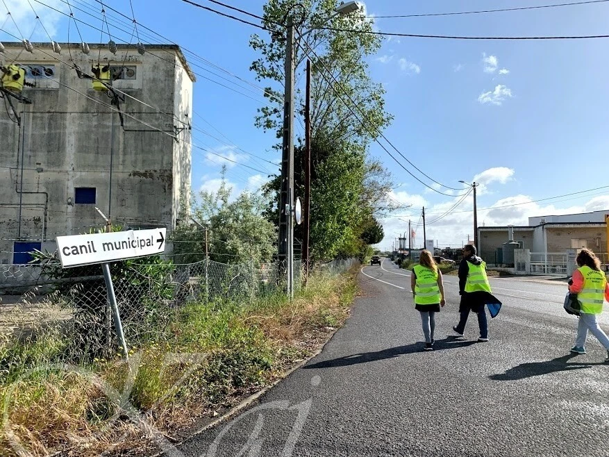 M3aPZdJNkn3YgxeVKreoK6jweGs