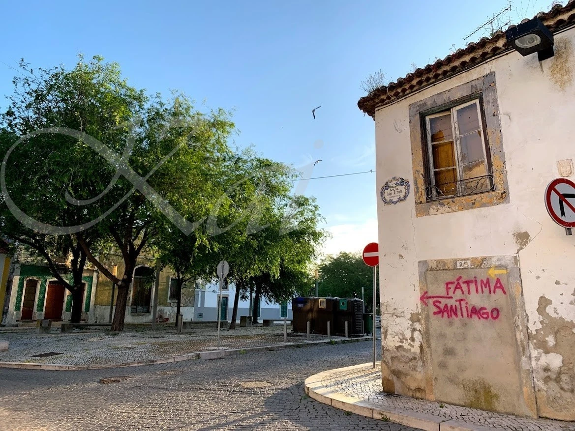 h_7bjUd018svc1jipmzxpctbzy_wocx9r.jpg?type=e1920_std