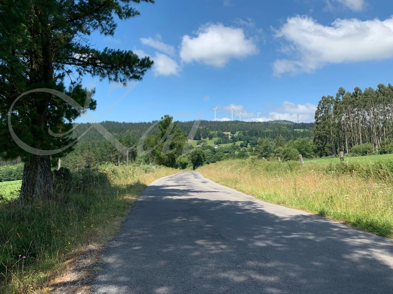 6_c2gUd018svc17aqvg8qbudku_wocx9r.jpg?type=e1920_std