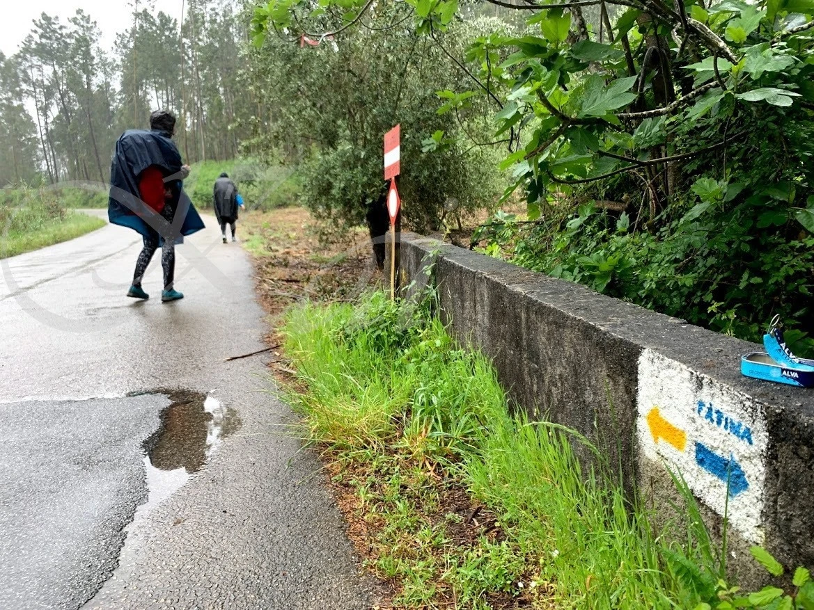 1_i8dUd018svc1joczce7ngo7o_wocx9r.jpg?type=e1920_std