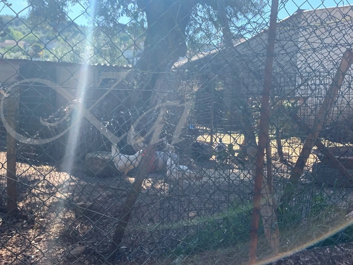 e_1c7Ud018svc1ebo6cv3rr9xw_wocx9r.jpg?type=e1920_std