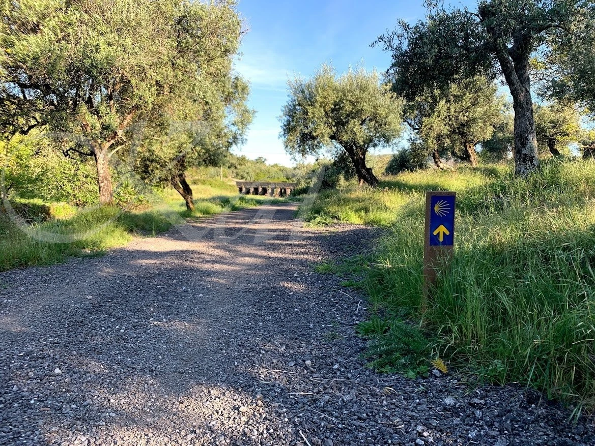 1_14jUd018svcqzqbuaqw3csg_wocx9r.jpg?type=e1920_std