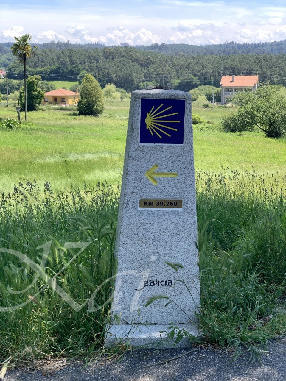 7_3gfUd018svceuesp6r8oasr_wocx9r.png?type=e1920_std