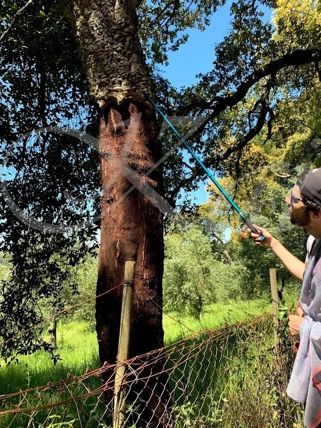 f_ic7Ud018svcrj55tnsjq9q3_wocx9r.jpg?type=e1920_std