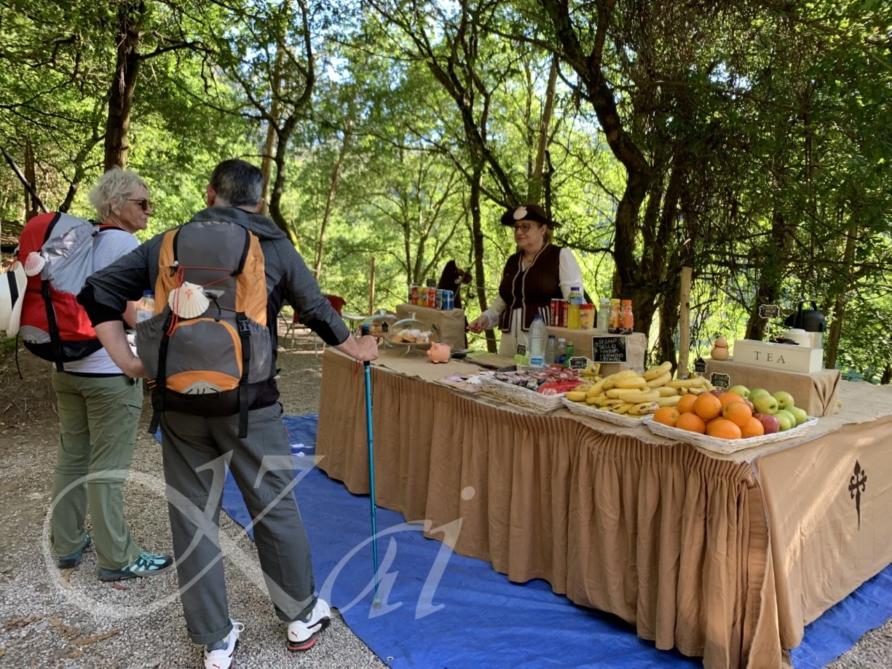 i_ad2Ud018svctuf2hyswk10x_wocx9r.png?type=e1920_std