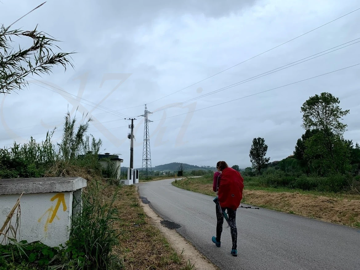 j_38cUd018svc1u7iy3ih9k3un_wocx9r.jpg?type=e1920_std