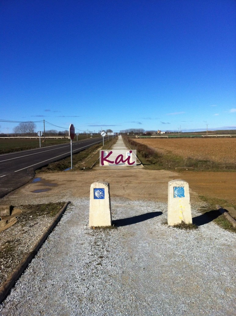 image_5804409801515607631936.jpg?type=w773