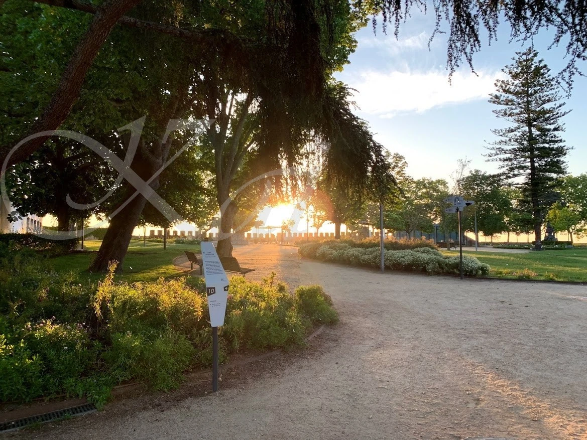 d_4bjUd018svc8wne4m7f478b_wocx9r.jpg?type=e1920_std