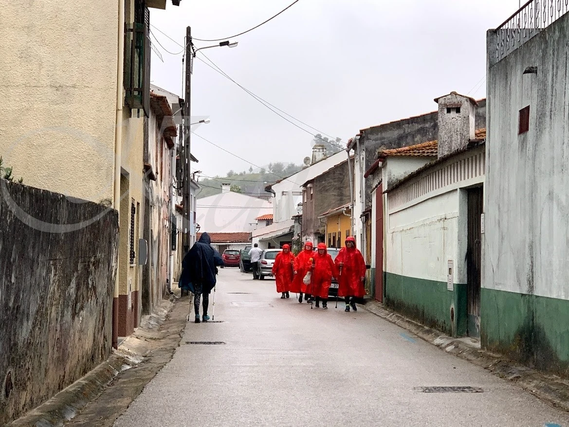 j_h8cUd018svc1lwkjzs8xw7h0_wocx9r.jpg?type=e1920_std