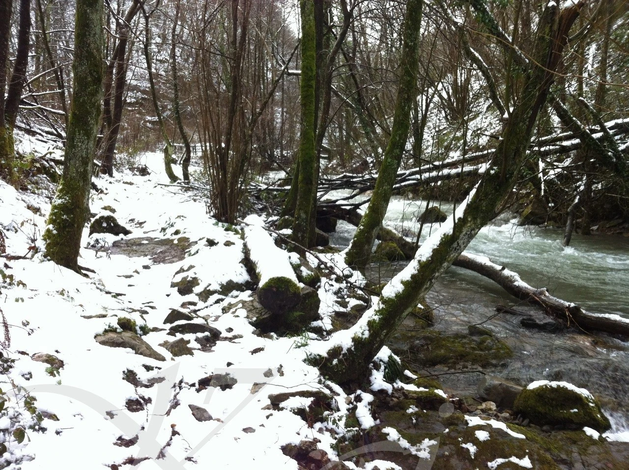 h_cjhUd018svcujtfw8mpi673_wocx9r.jpg?type=e1920_std