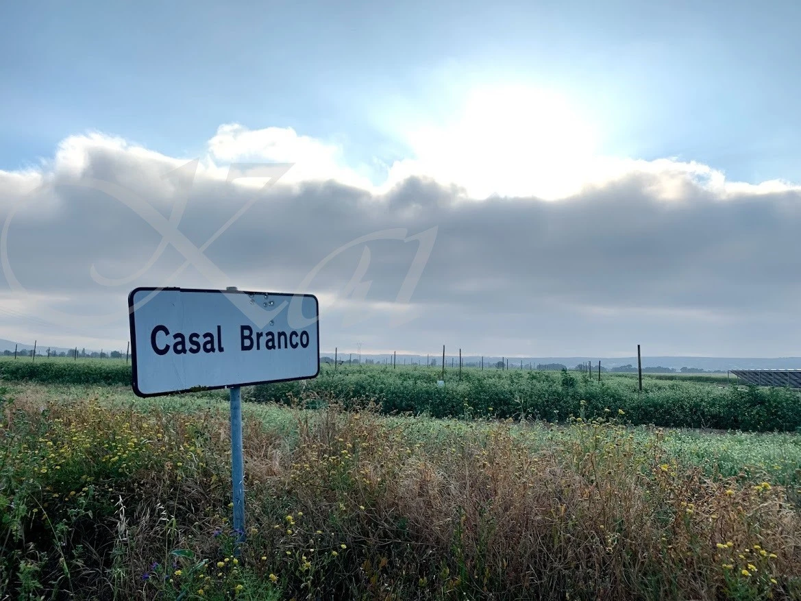 h_104Ud018svcorrquyt0u7y2_wocx9r.jpg?type=e1920_std