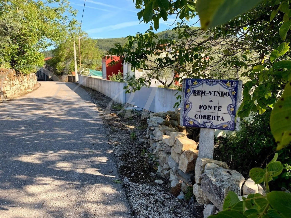 1_e4jUd018svc16n3fyn51tfao_wocx9r.jpg?type=e1920_std