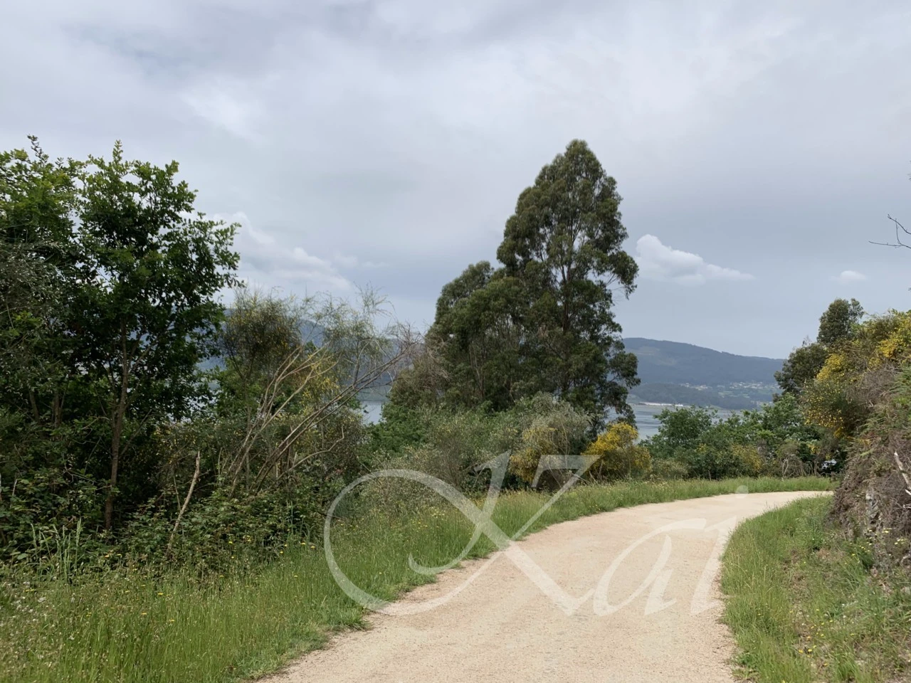 h_187Ud018svcms2a1kyqcqo9_wocx9r.png?type=e1920_std