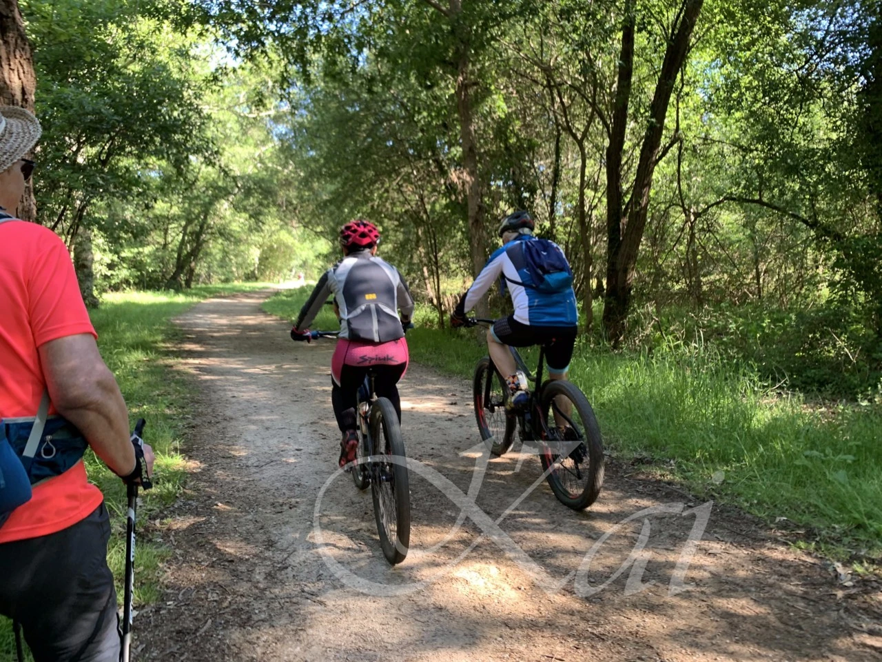 h_c9cUd018svccjf67jy1ntlj_wocx9r.png?type=e1920_std