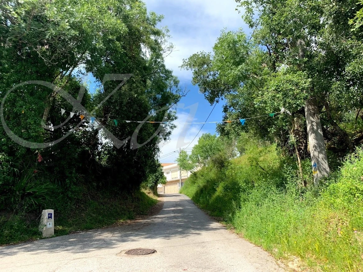 6_h4jUd018svcavzsxj4d2xwy_wocx9r.jpg?type=e1920_std