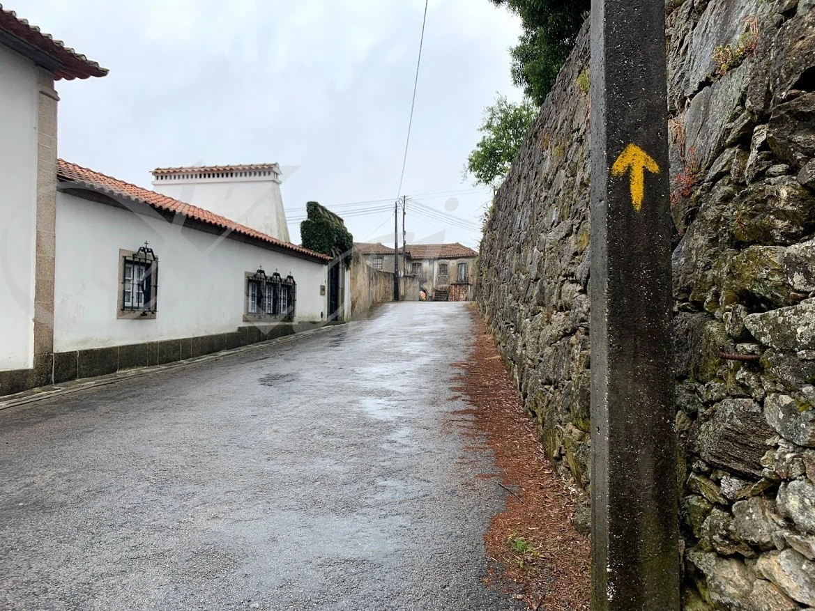 3_ja4Ud018svc12w6ldufauhid_wocx9r.jpg?type=e1920_std