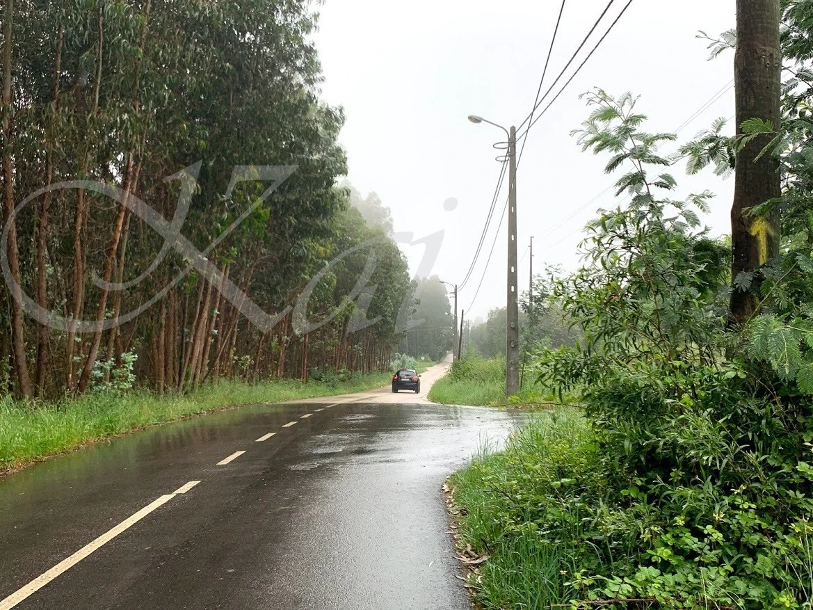 d_c2dUd018svc156a9gnpxo0v8_wocx9r.jpg?type=e1920_std