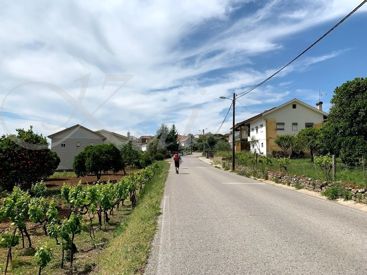 4_i4jUd018svcmpomhzyad2y_wocx9r.jpg?type=e1920_std