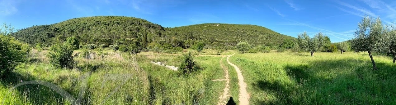 2_94jUd018svc16pq8467a7tpf_wocx9r.jpg?type=e1920_std