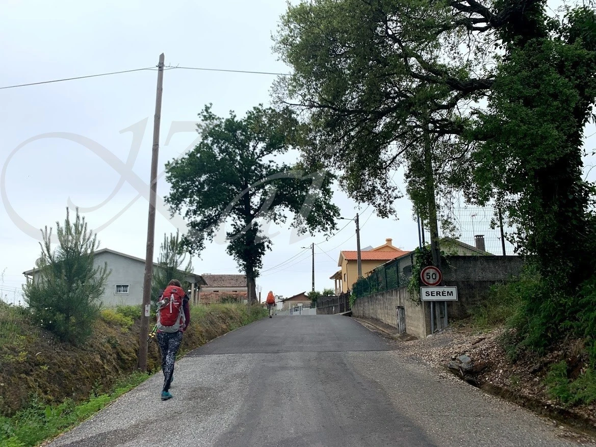 f_835Ud018svcnmll6xw0nfud_wocx9r.jpg?type=e1920_std