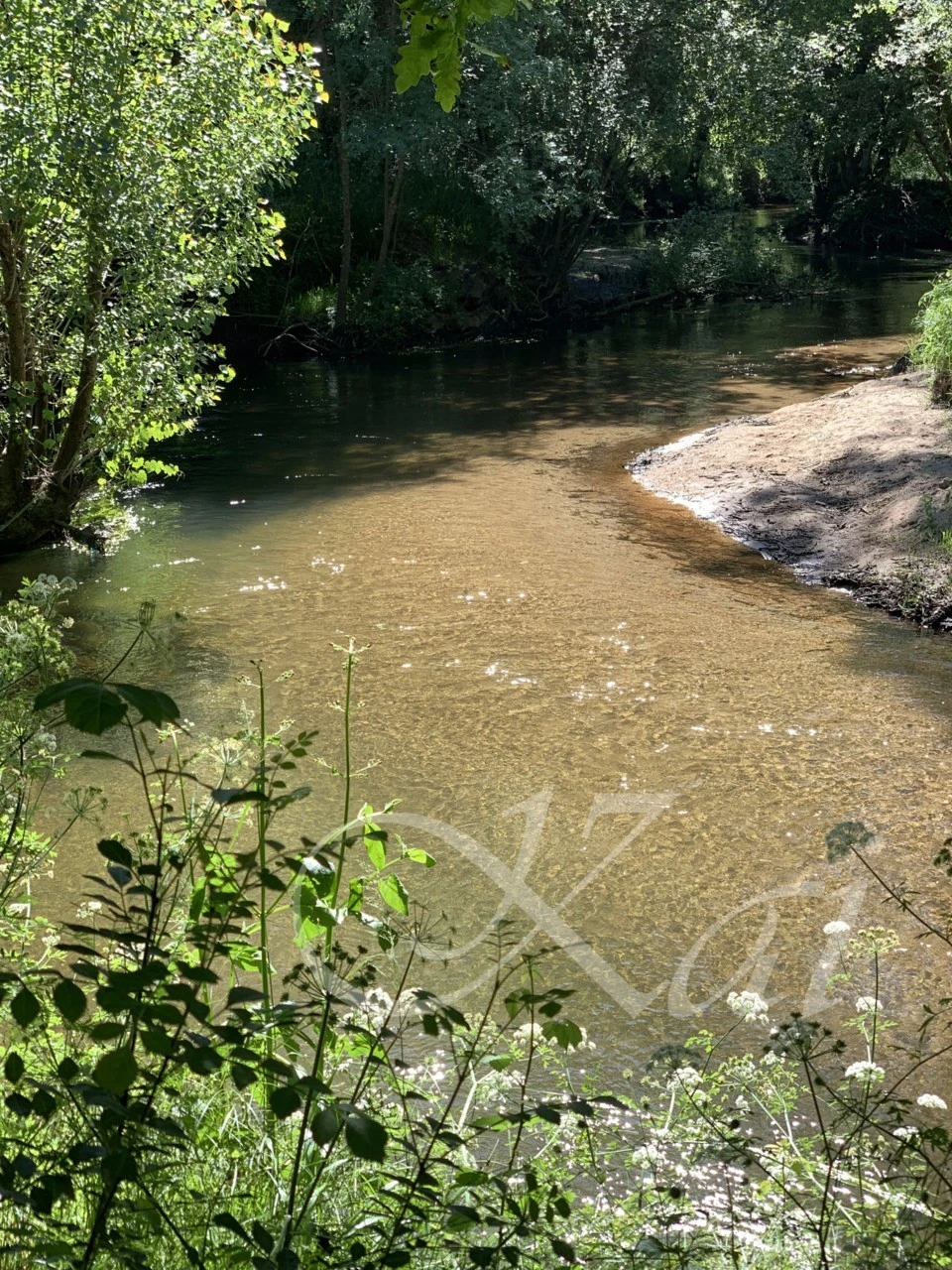 5_09dUd018svcx6seloi3dev4_wocx9r.png?type=e1920_std