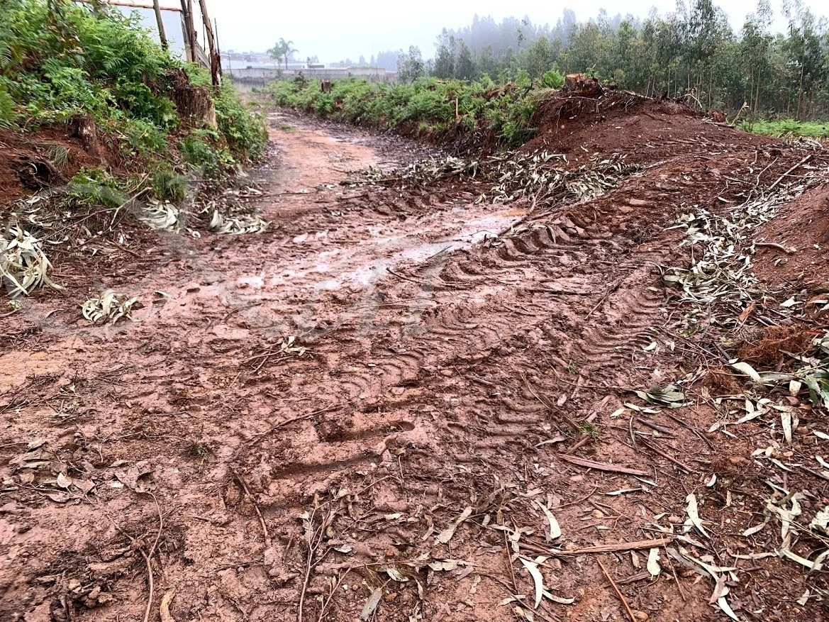 7_72dUd018svctwufb2ae29rz_wocx9r.jpg?type=e1920_std