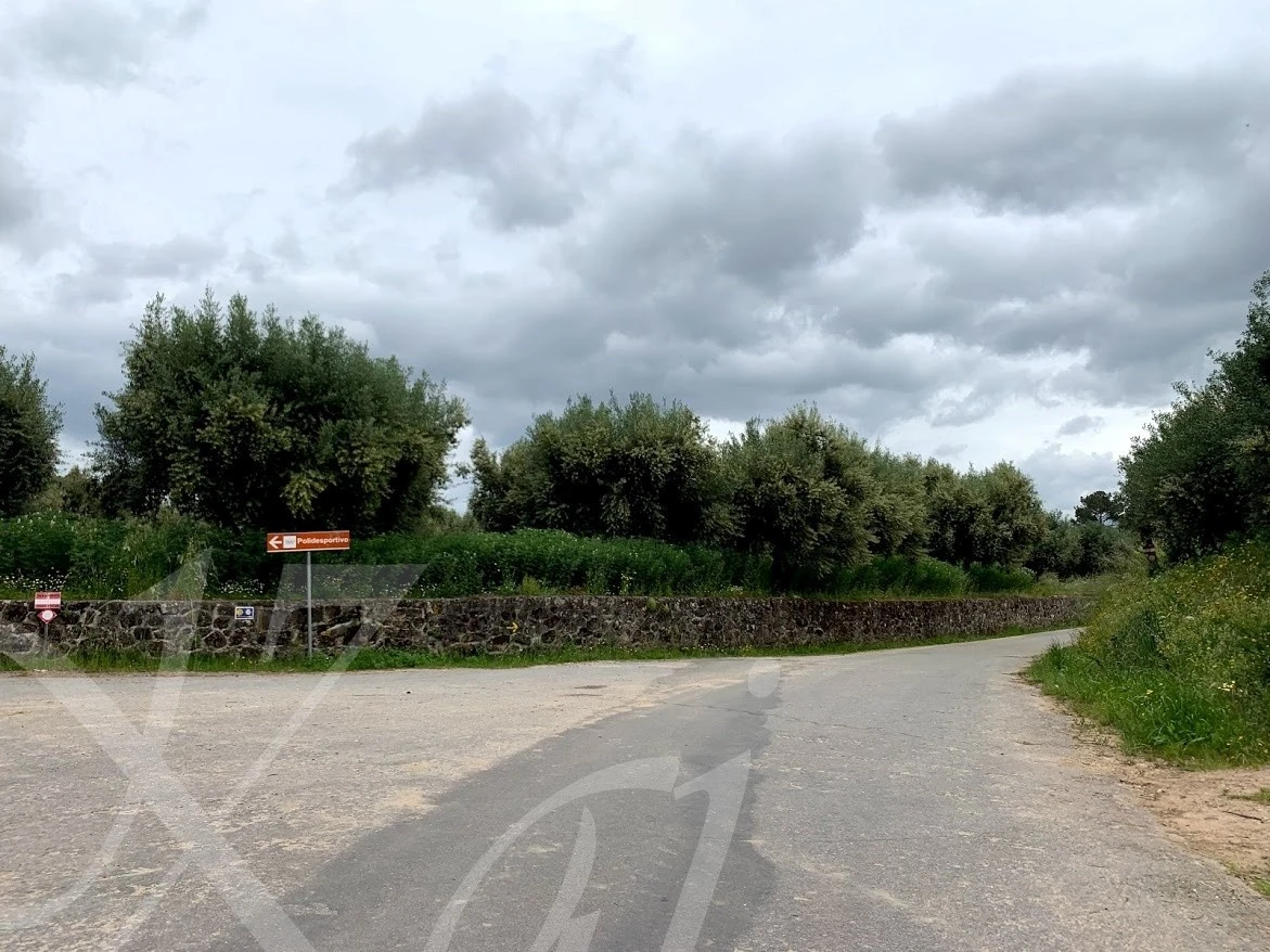 e_8daUd018svcwv3u1axh26z2_wocx9r.jpg?type=e1920_std