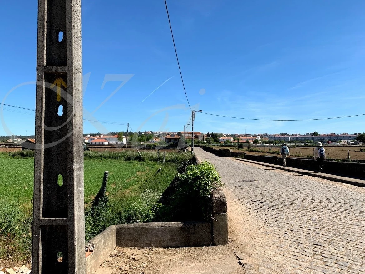 9_765Ud018svc5lcw7bvpqj5_wocx9r.jpg?type=e1920_std