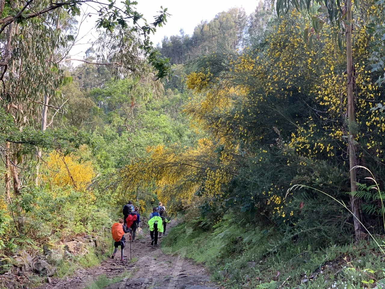 8_5edUd018svcun2sqhxfjwqb_wocx9r.png?type=e1920_std