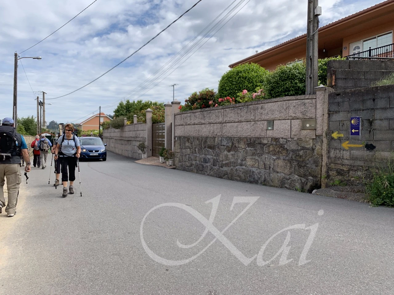 g_186Ud018svc173fd9g5vhb5x_wocx9r.png?type=e1920_std