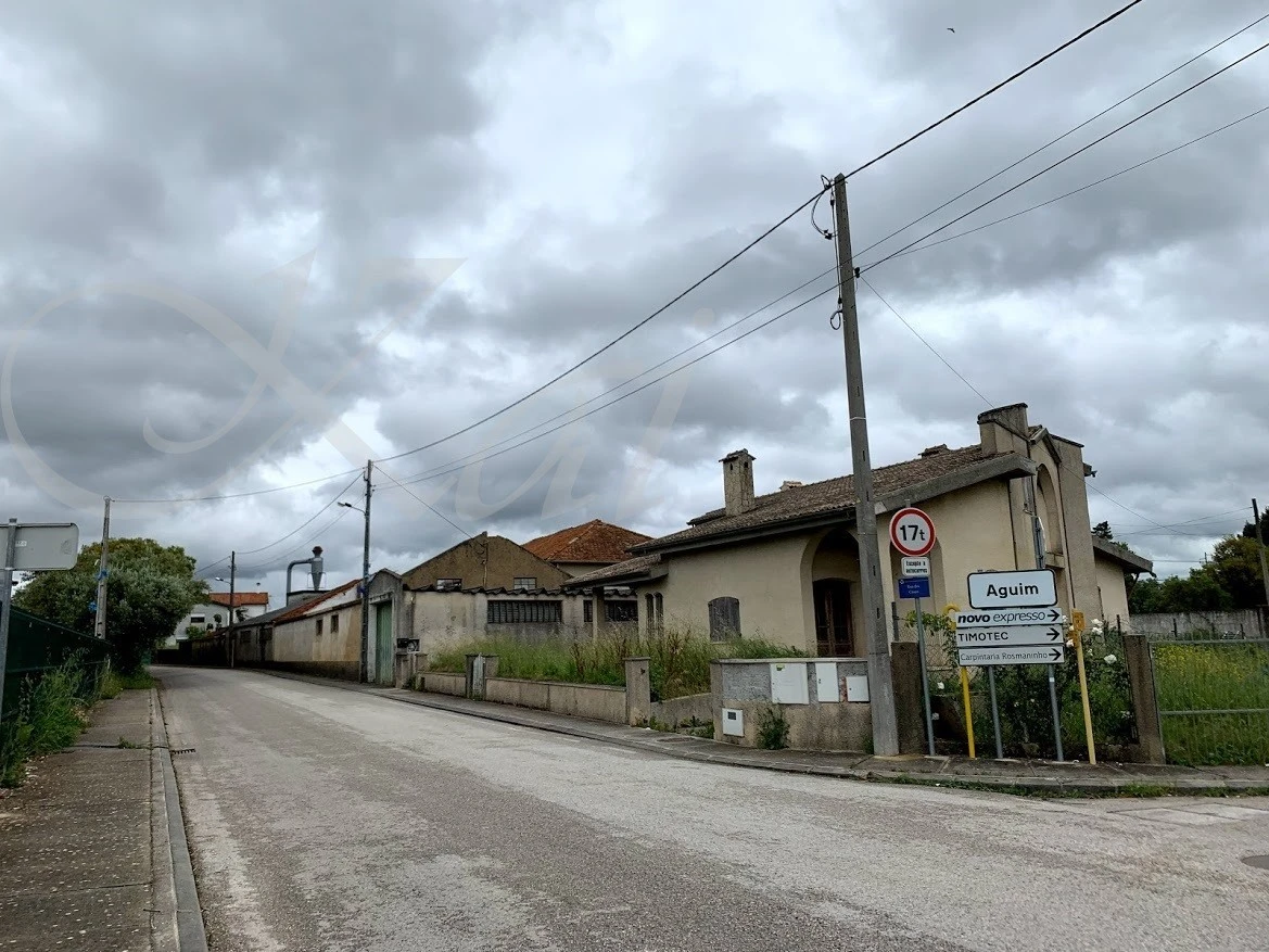 4_78dUd018svc1qn7fm5bu3lla_wocx9r.jpg?type=e1920_std