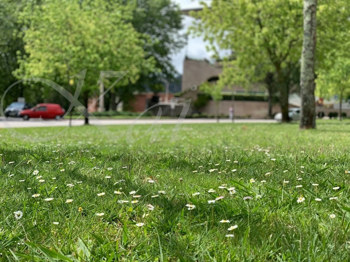 e_aa5Ud018svc17vduhvk2n4q2_wocx9r.jpg?type=e1920_std