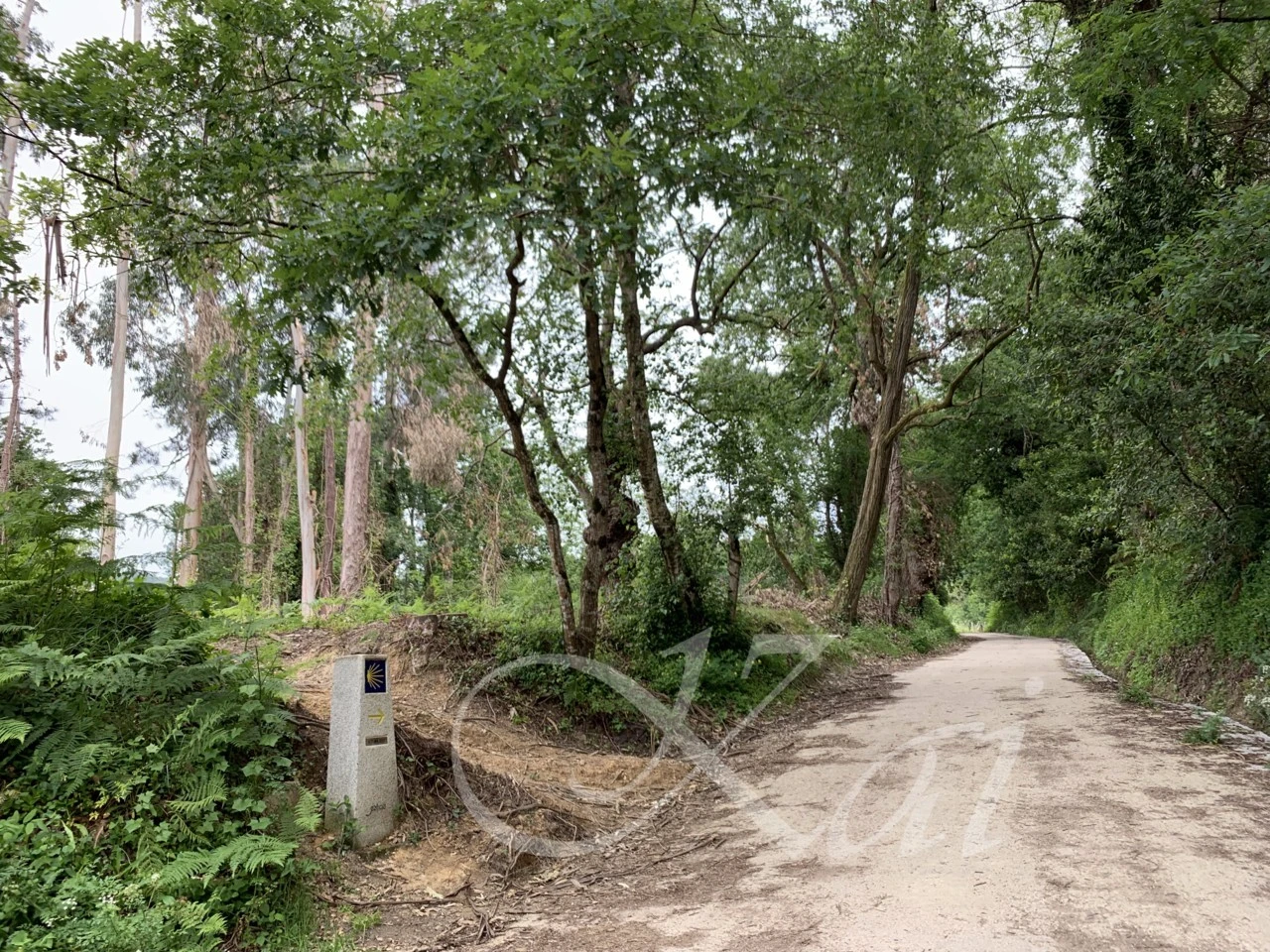 b_c87Ud018svcsfje7c2qsc24_wocx9r.png?type=e1920_std