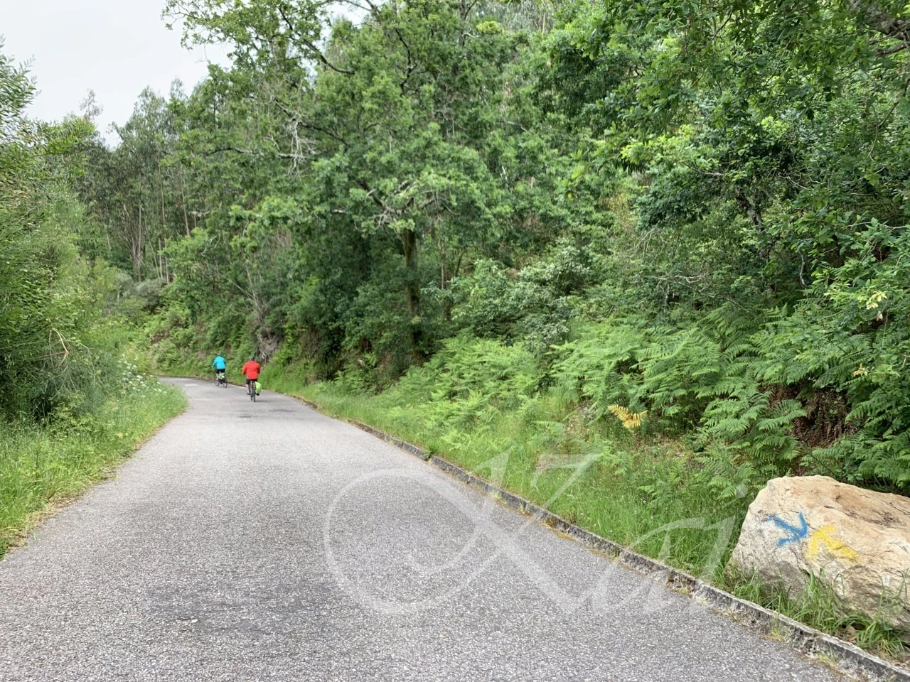 j_287Ud018svchamk0gbom5h_wocx9r.png?type=e1920_std