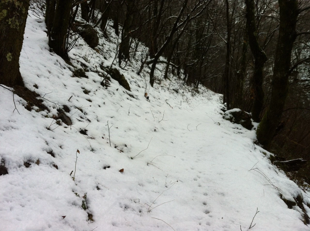 e_5jhUd018svce90l5vukyp7r_wocx9r.jpg?type=e1920_std