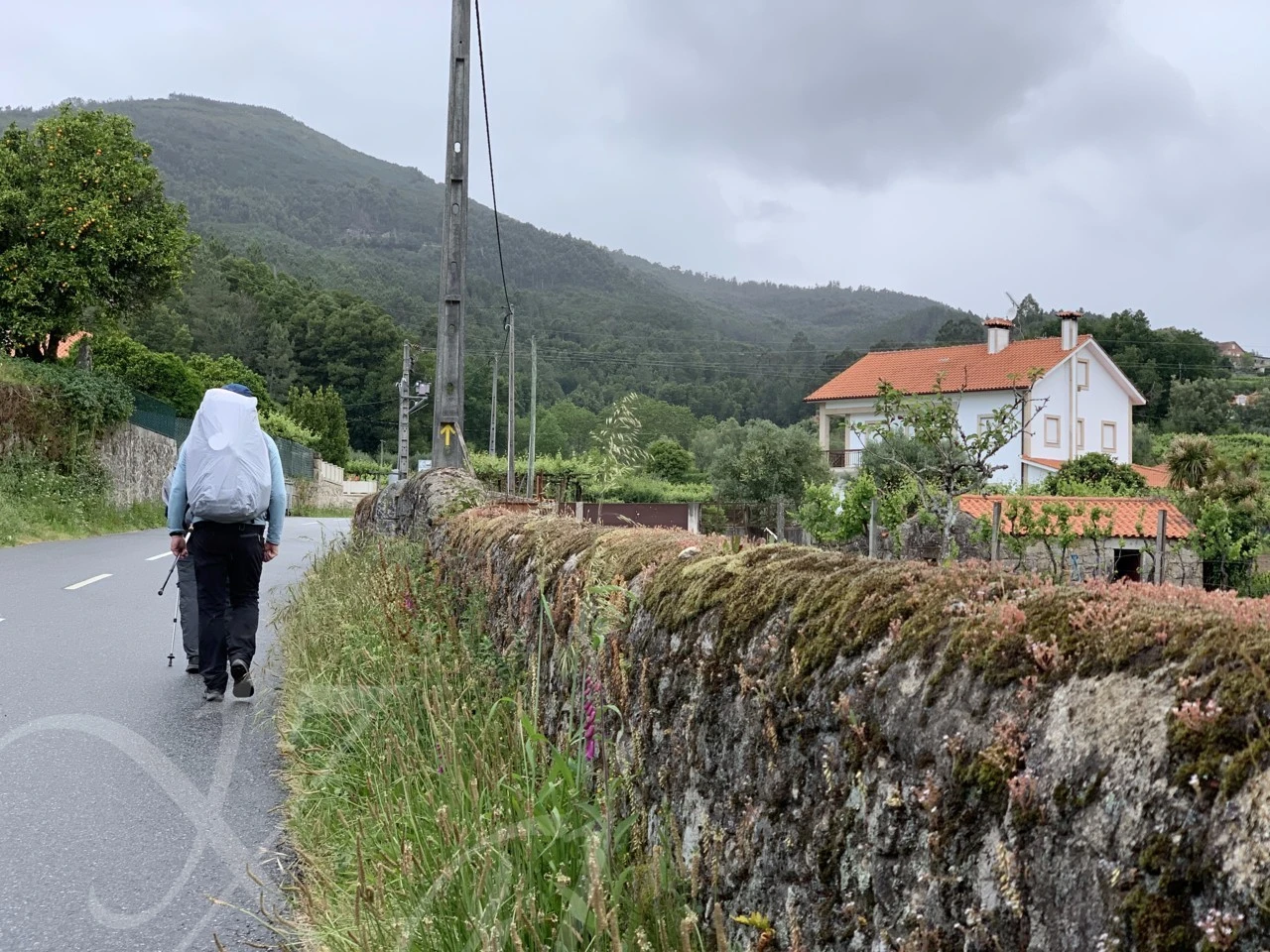 5_758Ud018svc1r8lck4ki1w1n_wocx9r.png?type=e1920_std