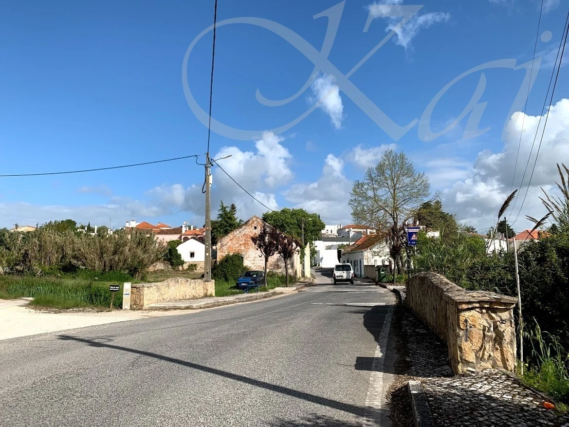 3_g87Ud018svc1073k3rqx6u40_wocx9r.jpg?type=e1920_std