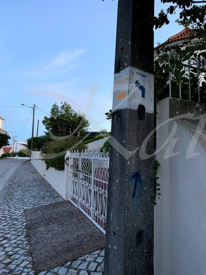 g_7i0Ud018svcthsbloen3l5f_wocx9r.jpg?type=e1920_std