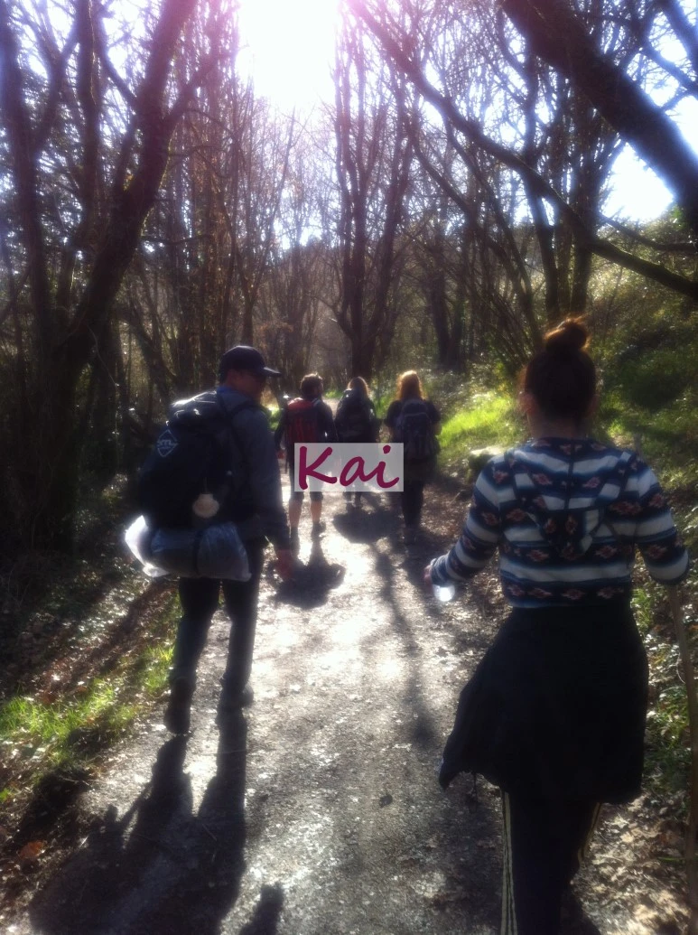 image_1532336401515607631937.jpg?type=w773