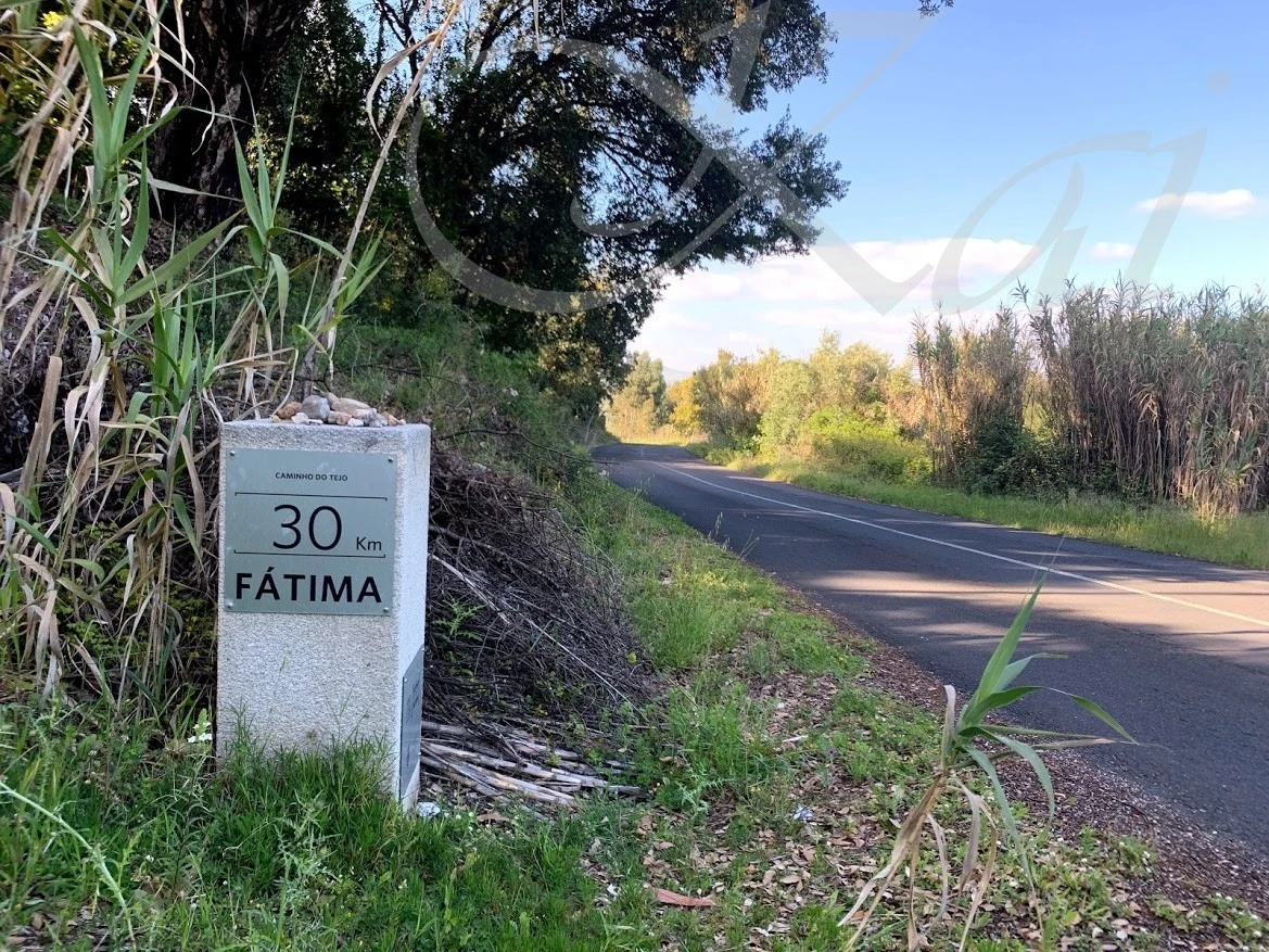 9_g87Ud018svcfqtvnebo7rxg_wocx9r.jpg?type=e1920_std