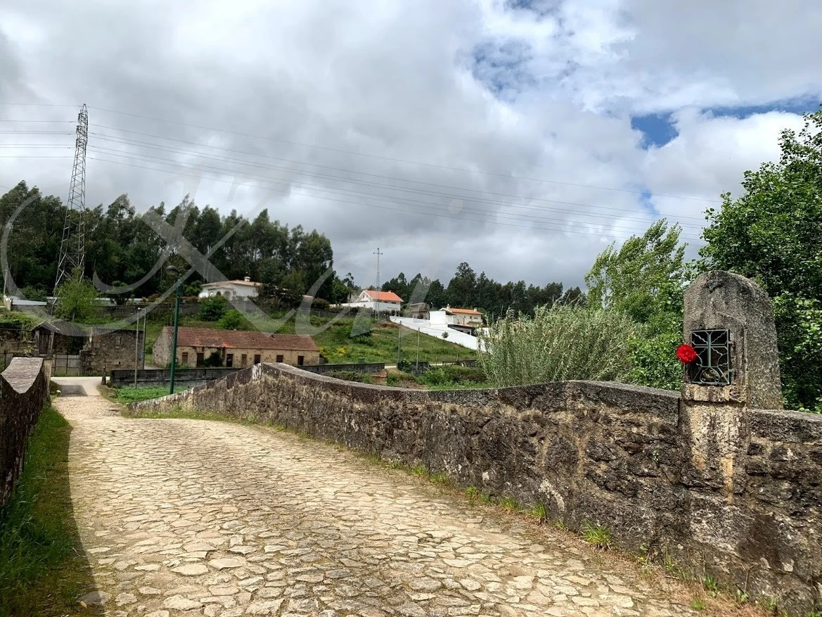 b_4a5Ud018svctq2oqkfxan1g_wocx9r.jpg?type=e1920_std